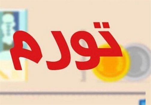 «پدیدارشناسی تورم» ـ ۱ | پاسخ به ده‌ها سؤال درباره تورم در پرونده تسنیم