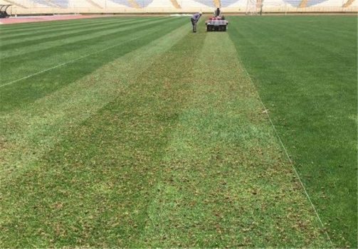 ورود دادستانی تهران به ماجرای آلوده‌بودن چمن ورزشگاه آزادی/ نمونه‌برداری انجام شد + فیلم